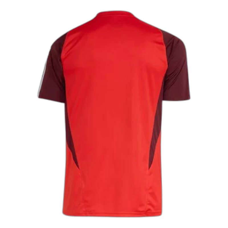 internacional-24-25-training-jersey-fan-version-2